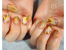 シャインアン(Shine'an)/デザイン2時間