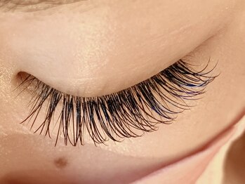 レミア 関内(REMIA)/8月　Ｄカール