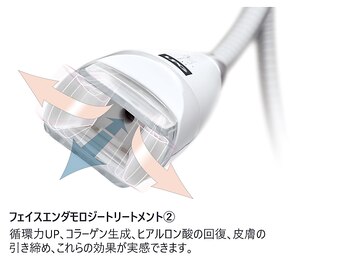 スカイ(Sky)/皮膚組織をつくる成分生成に強み