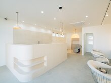 アオトスイ(aotosui)