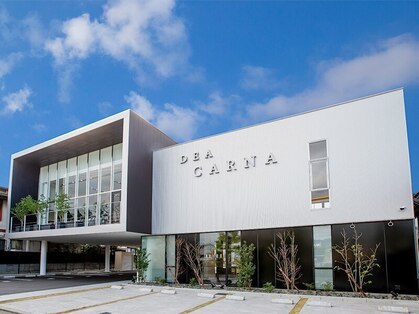 デアカルナ(DEA CARNA)の写真
