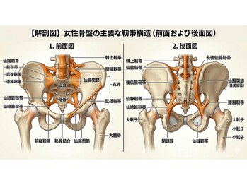 ガジュマルの樹/腰痛改善