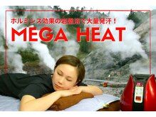 ワカワカ(Waka Waka)/ホルミシス岩盤浴温水マット