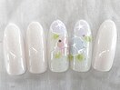 定額Bコース16種類
