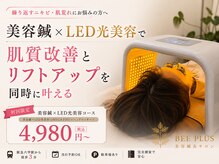 ビープラス(BEE PLUS)