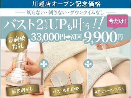美人バスト　川越店の写真