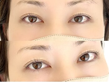 シャルフ(shalf)/