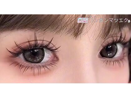 ピーティー(PT)の写真