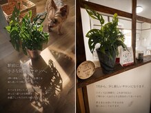 爪家の雰囲気（ほっとひと息つきたい日は、爪も一緒に整えてみませんか？）