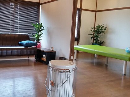 リセラ(Re:THERA)の写真