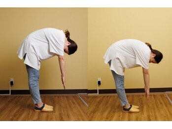 アプロ(APLO)/自律神経調整+姿勢矯正2