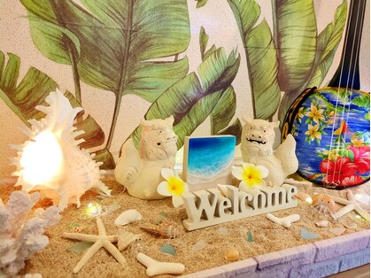 ウミノネ(uminone)の写真