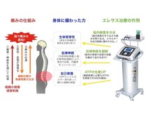 かたこり本舗の雰囲気（身体の回復力を正常に整える効果のエレサス導入店！）