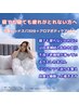 ～7月15日期間限定☆寝ても寝ても疲れがとれない方へ
