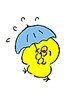 【雨の日がお得♪】雨の日限定クーポン整体30分¥3000→¥1950♪25％OFF2枠も可