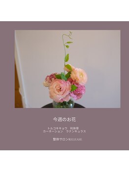 リリース(RELEASE)/今週のお花