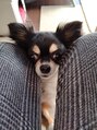 ニコ 金山店(nico) 犬にふりまわされる幸せな日々です笑