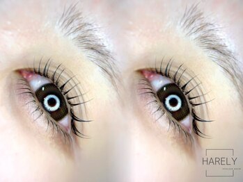 ハレリー(HARELY)の写真/◆セットメニューがお得◆【まつ毛パーマ×アイブロウ】クーポンなど多数ご用意してお待ちしております!
