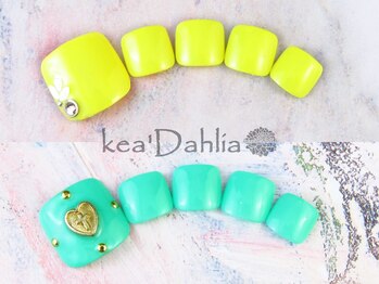 ケアダリア(kea’Dahlia)/定額コース【色/配置変更可】