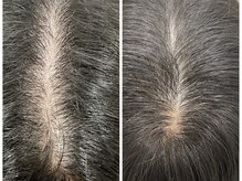 オリエンス(oriens)