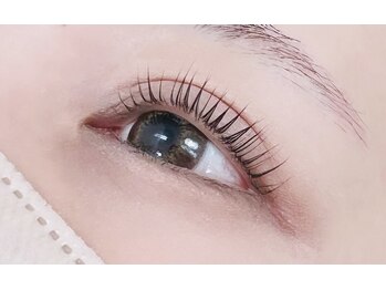 シンシア(SinSia)/