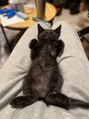 ヘッドミントVIP 銀座店 おうち時間は犬猫とずっと遊んでます♪