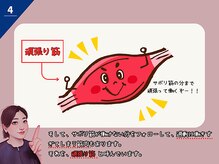 ラシュシュ/サボリ筋とは？