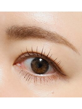 プルクラ(PULCHRA)/