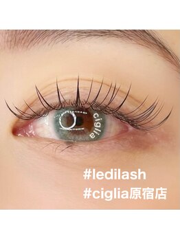 チッリア 原宿店(ciglia)/ledilashでつけるマツエク