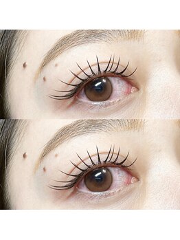 パフ(puf)/【eyebrow wax × マツエク】