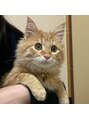 ラ ピラティス 目黒店(La pilates)&nbsp;実家の猫です！犬1匹と、猫3匹飼ってます。