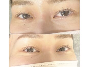 パレット(palette)/●