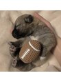 ジェイミー(Gemiey) 保護犬を飼っています。雑種の女の子のツナちゃんです!