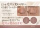 ピネ(pine)の写真