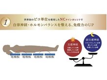 サロン ド ガーネット(Salon de Garnet)/世界初ピコ単位カレント搭載！