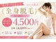 エル(Elle)の写真