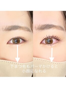 ミアン 名古屋(Mien)/下まつげが逆さまつげの方は