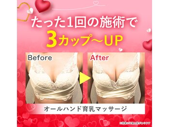 ピーグランディ 新宿店(p-Grandi)/お得な育乳キャンペーン