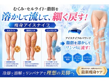 美宝 鈴蘭台の写真/１回でムクミ/セル脂肪/贅肉をスッキリ！神戸でココだけ◎最新機種アイスナイフで次世代サイズダウン！