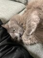 エックス(X)&nbsp;猫も飼ってます！