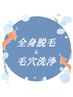 【大人気クーポン】メンズ全身脱毛＋毛穴洗浄＋炭酸パック　価格20,860円→
