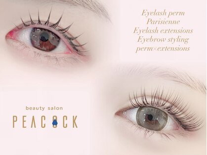 ピーコック(peacock)の写真