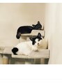 サロンドエクラ 南堀江(salon de eclat)&nbsp;自宅に保護猫が２匹いてます。大切な家族です。
