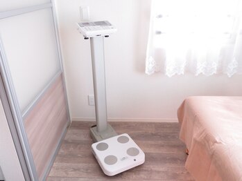 チェレステ(Celeste)/月に一回の計測