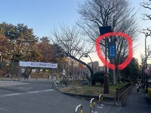 スリーエス ジブンサウナ(3Sジブンサウナ)/乃木坂駅からのアクセス→