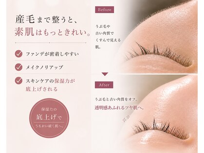 プレジール(plaisir)の写真