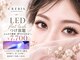 クレビア(CREBIA)の写真