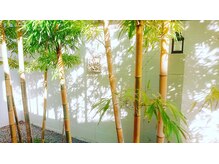 キオラスパ(KIOLA SPA)/テラス