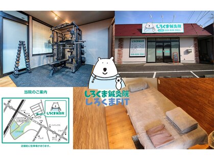 しろくま鍼灸院/しろくまFITの写真