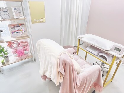 ネリネ(Nerine)の写真